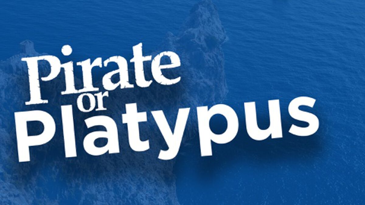 Pirate or Platypus image number null